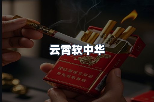 云霄香烟批发